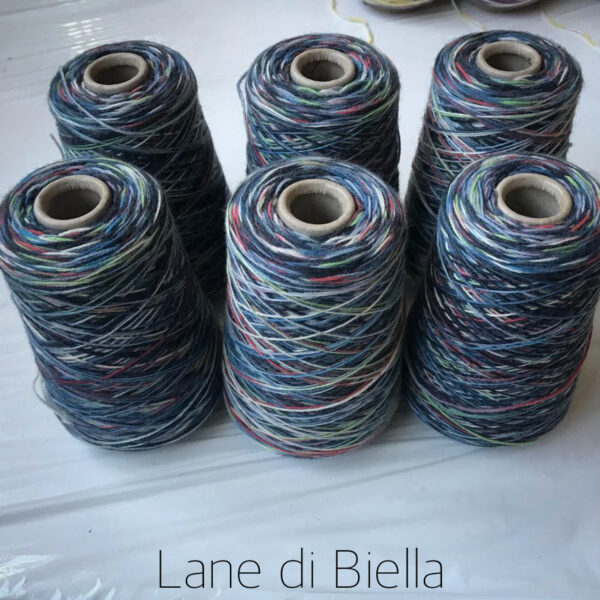 Rocche Lane di Biella Multicolore